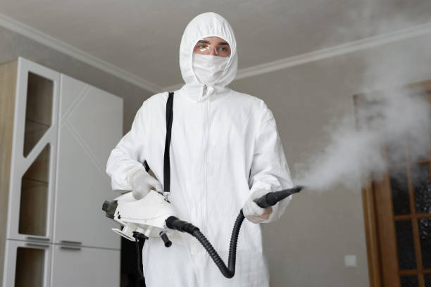 Best Forensic Mold Investigation in Florence, TX